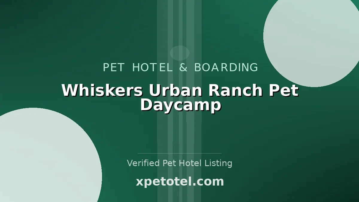 Whiskers Urban Ranch Pet Daycamp