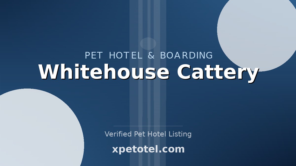 Whitehouse Cattery pet hotel Nottingham