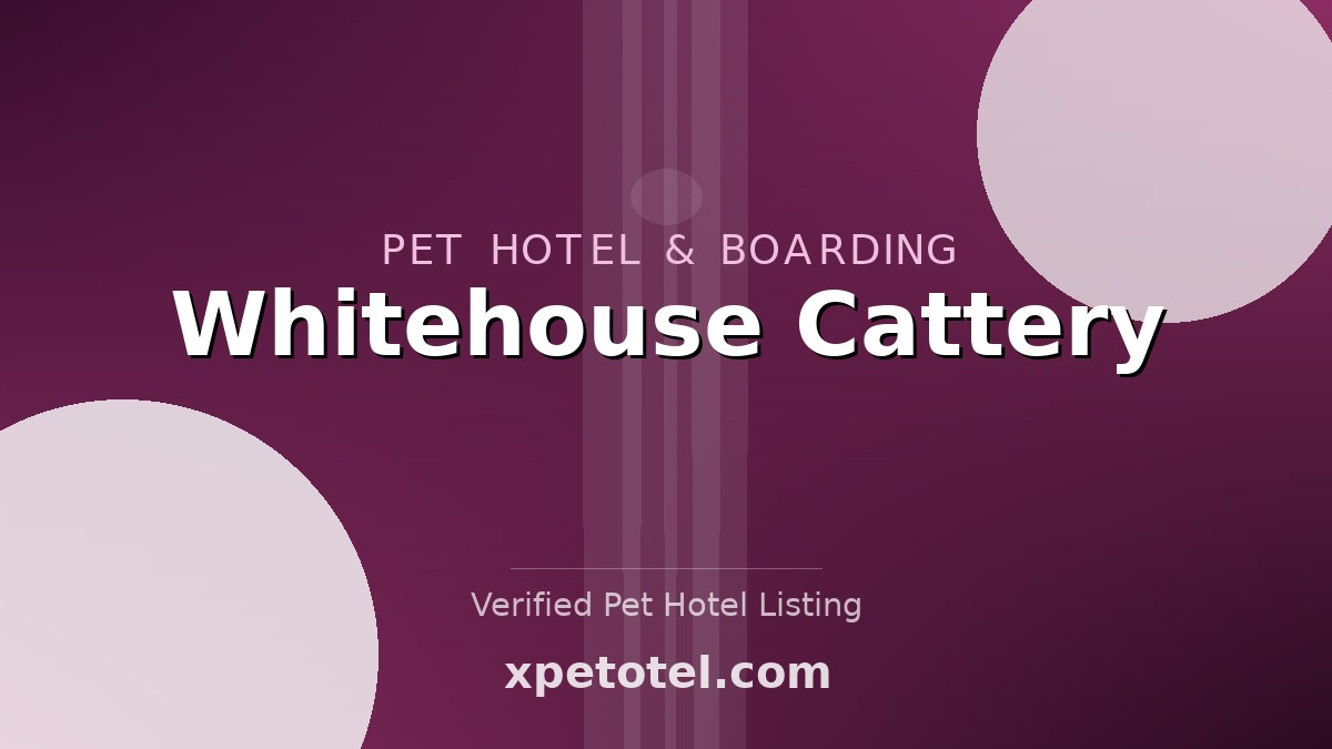 Whitehouse Cattery pet hotel Nottingham