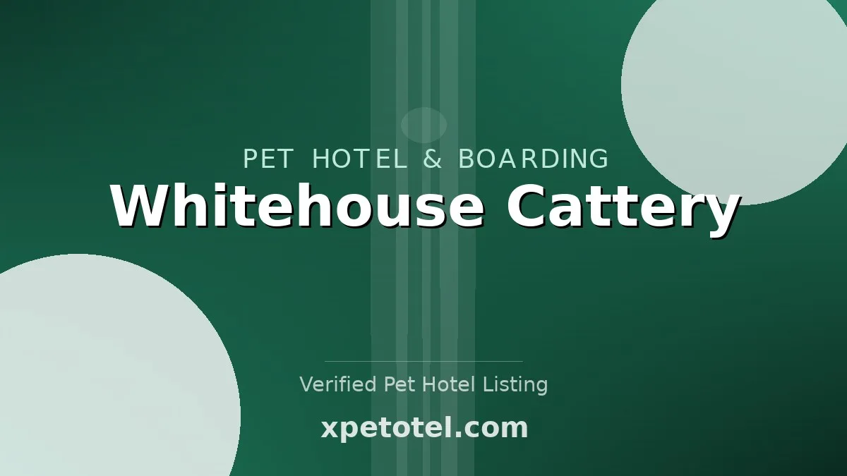 Whitehouse Cattery