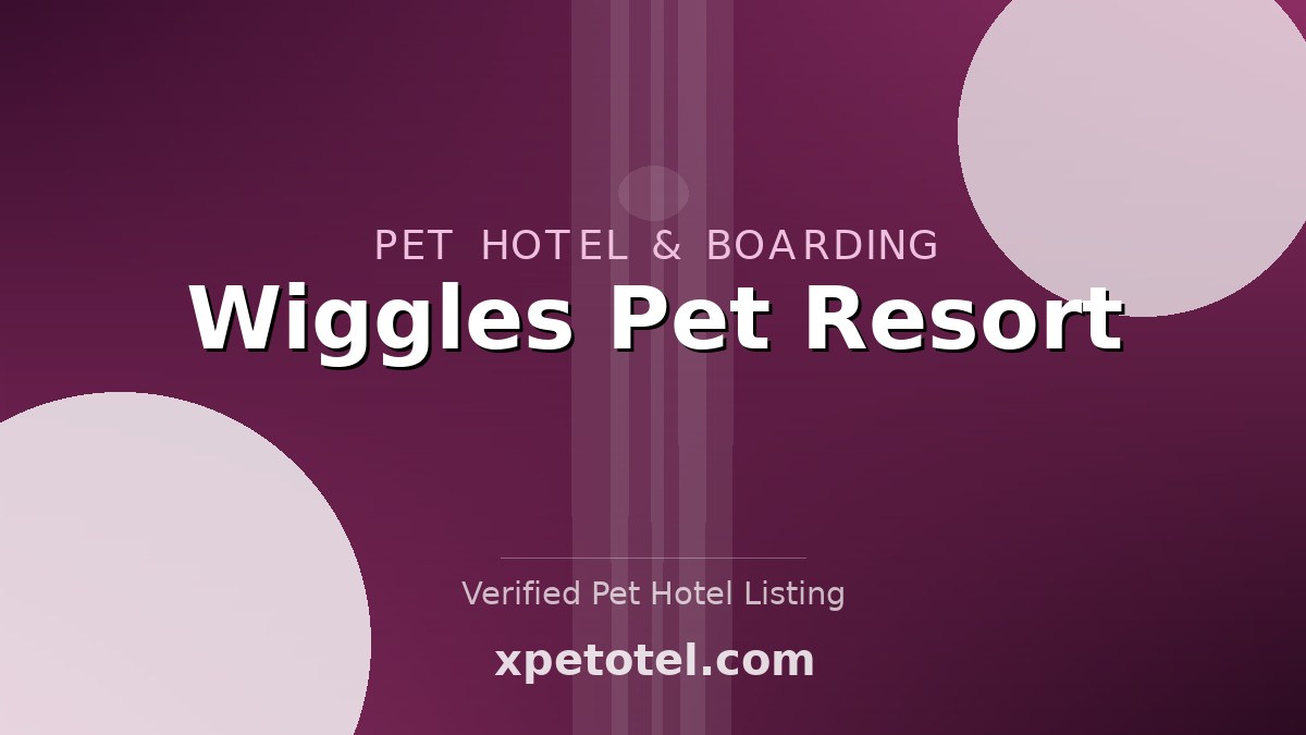 Wiggles Pet Resort pet hotel Stamford