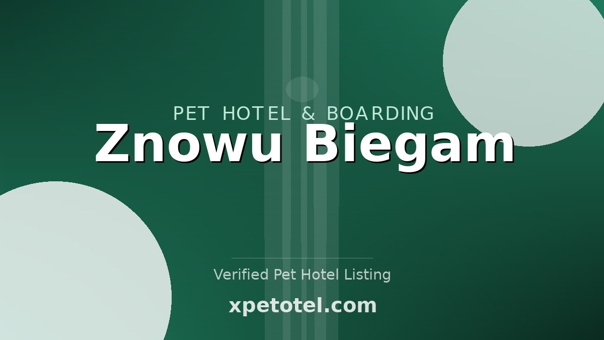 Znowu Biegam