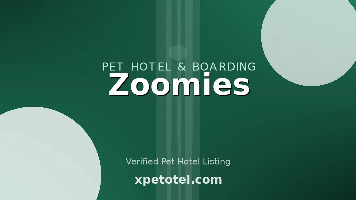 Zoomies